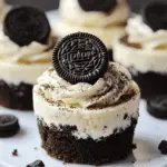 Mini Oreo Cheesecakes with Whipped Cream Topping